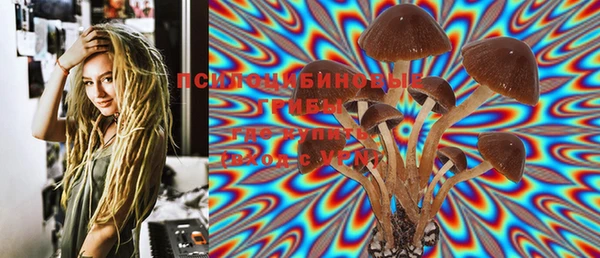стафф Тайга