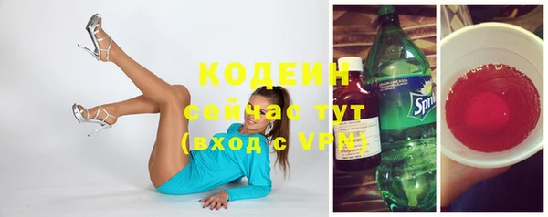 соль ск Вяземский