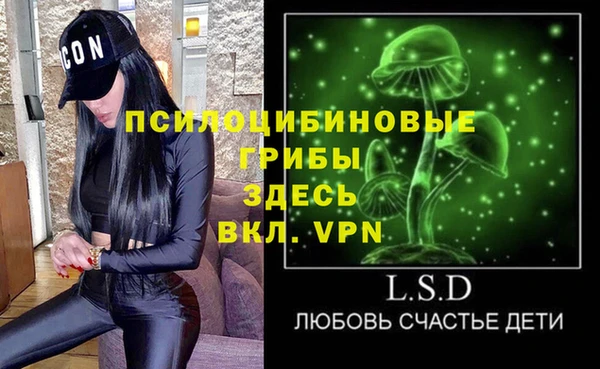 стафф Тайга