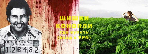 соль ск Вяземский