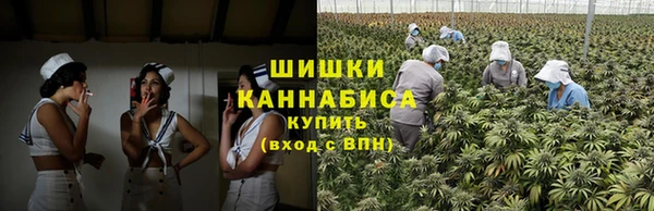 соль ск Вяземский