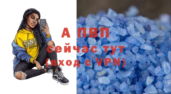 стафф Тайга